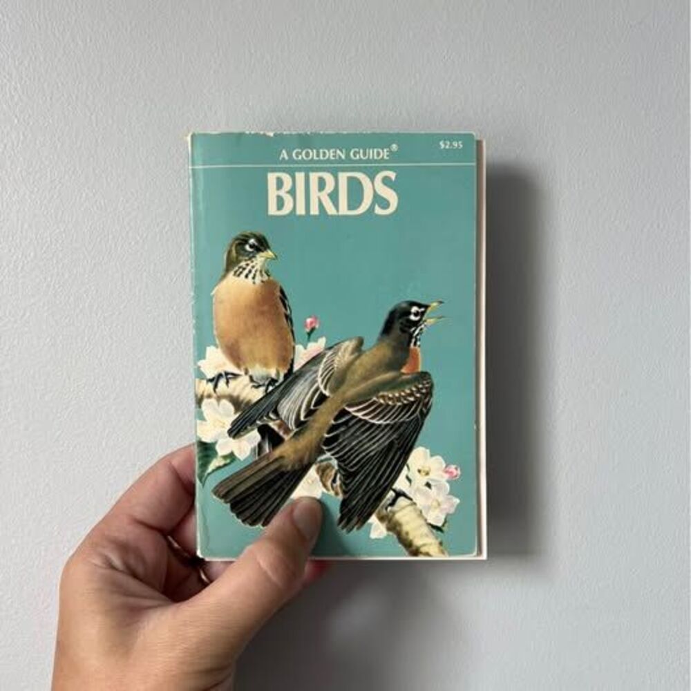 Vintage Golden Nature Guide: Birds